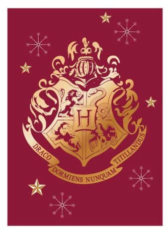 Hogwarts Harry Potter Fleecedecke, 140 x 100 cm
