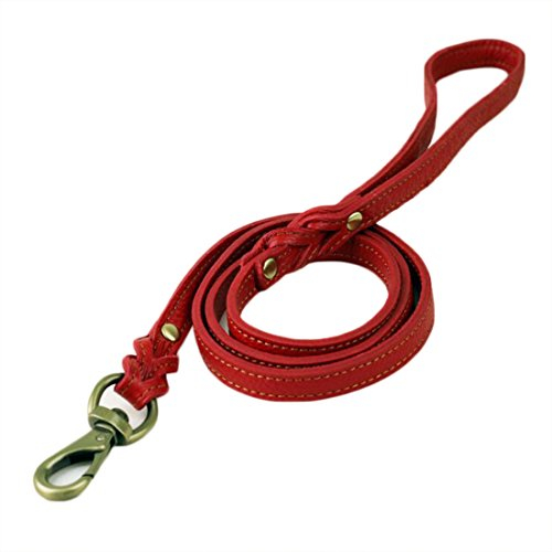 Lederleine 1.2 Meter Hundeleine Vollrindleder Weichem Hundführleine Haustier Katzen Walking Leine für Welpen Klein Hunde Pet Leads Schauleine Leder Leash (rot)