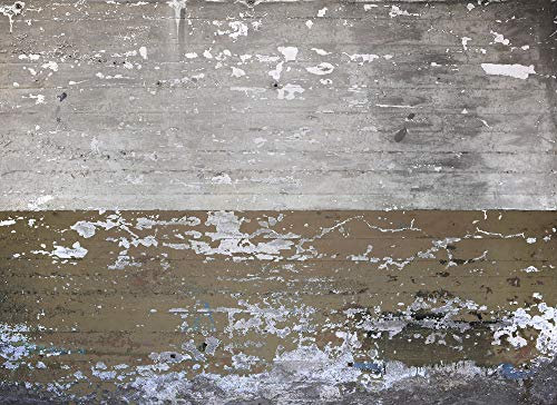 Livingwalls Fototapete Designwalls Vliestapete Concrete Coated Tapete in Betonoptik in Braun, Grau 350 x 255 cm XXL Wandtapete Wandbild 118788
