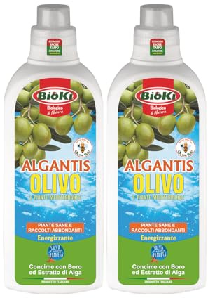 Algantis Olivo, fisioattivatore della fioritura e rinverdente per olivi e piante mediterranee a base di alghe brune e boro, offerta composta da n. 2 confezioni da 1 kg