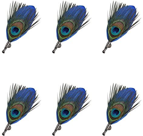 WDhomLT Hommes Femmes Vintage Plume De Paon Broche Broches De Mariage Costume Corsage Revers Broches Broche, 6pcs