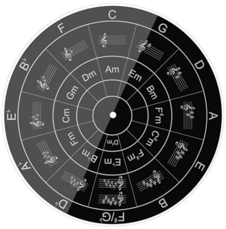 Durability 29.0 cm Acrylic Record Mat Acrylic Turntable Mat for Noise Reductions and Improved Trackings Platter Slipmat