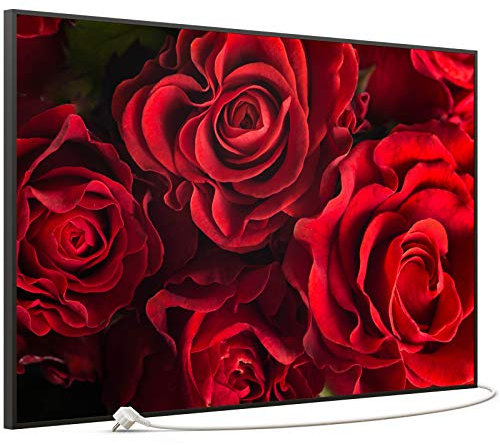 STEINFELD Bild Infrarotheizung mit Thermostat | Made in Germany | viele Motive 350-1200 Watt Rahmen schwarz (900W, 056 Rote Rose)