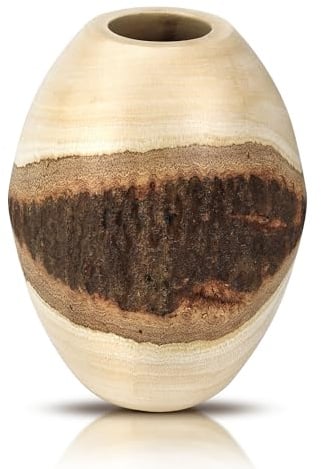 Nature Inspired - Albero di mango ovale con vaso in legno con corteccia, 19 cm