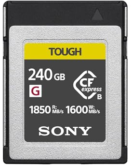 Sony CEB-G240T | CEB-G Series CFexpress Type B Memory Card