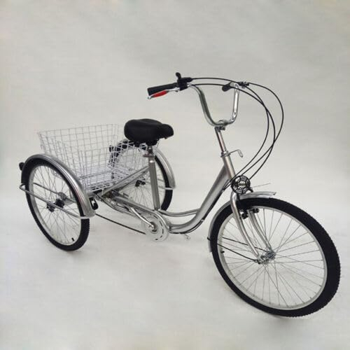 SHZICMY Dreirad für Erwachsene Fahrrad 3 Räder Erwachsene Lastenfahrrad Fahrräder mit 3 Rädern 24 Zoll (Silber)