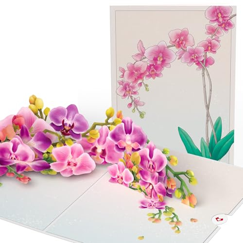 Lovepop® 3D Pop-Up Karte Acquarell Orchideen Grußkarte mit wunderschönen Blumen für Freundin, Ehefrau, Mutter | inkl. Umschlag & Versteckfach für Geld & Gutscheine
