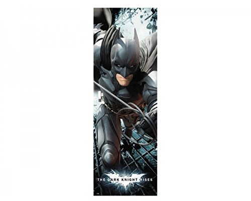 GB Eye Limited Batman - The Dark Knight Rises (Solo) Door Poster