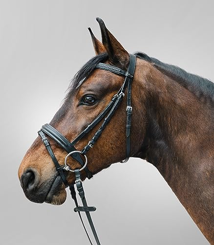 WALDHAUSEN Star Trensenzaum Diamond ENGL.Komb., schwarz, Minishetty