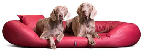 tierlando® Orthopädisches Hundebett SAMMY EASY CLEAN mit viscoelastischer Matratze und hohem Rand aus Kunstleder für gelenkschonenden Schlaf und höchsten Komfort Größe: 140x105cm | Farbe: 04 Dunkelrot