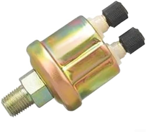 Sensore di pressione dell'olio automobilistico con opzioni a doppia filettatura 1/4NPT e 1/8NPT progettato per intervallo di misurazione da 0 a 10 bar, alloggiamento compatto in acciaio inox (D)