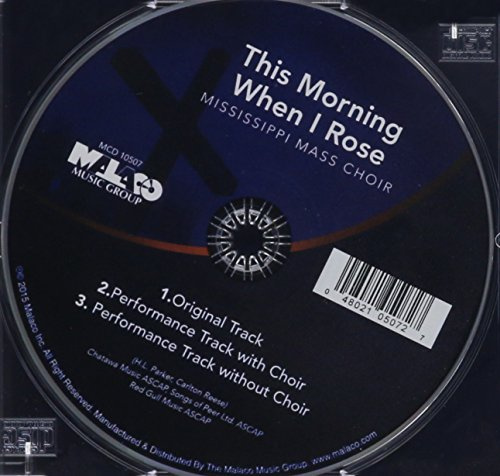 This Morning When I Rose