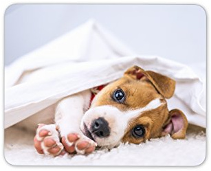 Cute Jack Russell Puppy Mouse Mat Pad - Dog Animal Mum Gift PC Computer #8286
