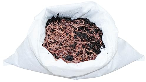 SUPERWURM 1 kg Gartenwürmer - für 100 m² Fläche - Bodenverbesserer - Die einfachste und natürlichste Methode Ihren Gartenboden auf zu lockern und zu durchlüften - Lehmboden auflockern