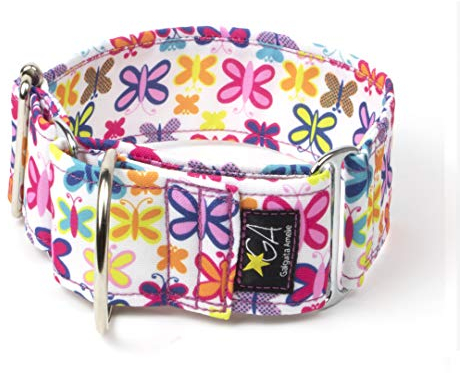 Galguita Amelie, 5 cm breit, Größe M (30-39 cm), Hundehalsband Schmetterlinge