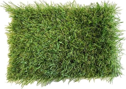 KUNSTRASENWELT - Kunstrasen Flair 528 | Vielseitiger Rollrasen in frischem Grün | Rasenteppich, perfekt für Garten, Terrasse, Balkon & Messen | Kunstrasen mit 28mm Höhe; Größe: 1m x 3m