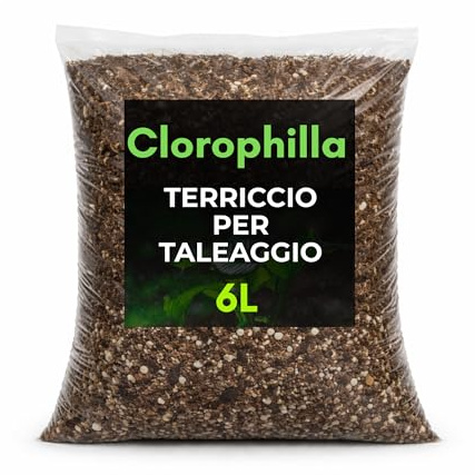 Terriccio Professionale per Taleaggio e Radicazione – Mix Drenante e Arieggiato con Torba Fine, Fibra di Cocco e Pomice 2–4 mm (6 Litri)