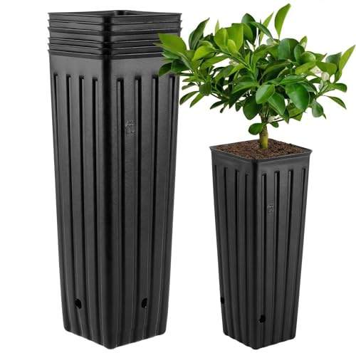 DOITOOL 50 bolsas de plástico para vivero para plantas, macetas altas para plántulas, macetas de inicio, soporte para bonsái, maceta suculenta con drenaje para cultivo de plantas (negro)