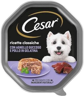 Cesar Recettes Classiques Nourriture Humide pour Chien avec Agneau et Poulet, 1 bacs de 150 g