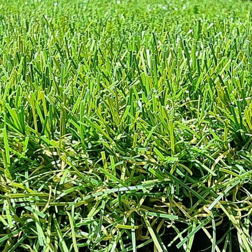 Gazon Synthétique 40mm en 2m de large (2m de large x 5m de long)