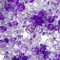 Mbsomnus 5000 Stück Diamanten Deko Violett Streudeko Diamanten Hochzeit Acryl Kristall Deko Streudeko Glitzer Brillanten Tischdeko Strass für Geburtstag Party Vase Füller Streudeko(3/6/8/10mm)