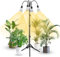 SANSI 120W LED Pflanzenlampe mit verstellbarem Stativständer, 900W Äquivalent Vollspektrum Grow Lampe für Zimmerpflanzen, 360° Schwanenhals mit 4 Ersatzbaren E27 30W Pflanzenlicht für Pflanzenwachstum