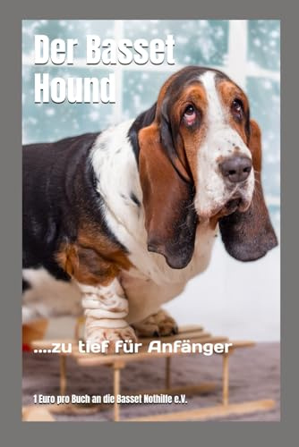 Der Basset Hound: ....zu tief für Anfänger