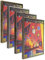 Schattenfugenrahmen 40 x 50 cmCanvas Leerrahmen Eris für Leinwandbild MDF 50 x 40 cm Gold Antik