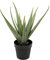 GreenBrokers Artificial Soft Aloe Vera Succulent Plant in Black Pot 61cm