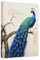 CCWACPP Blauer Pfau, Leinwand-Kunst, Tiergemälde, Wanddekoration, eleganter Retro-Pfau-Bilddruck, Wohnzimmer-Dekor, Rahmen