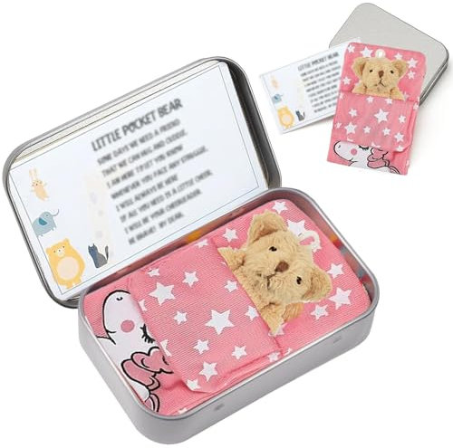 AWAVM Little Pocket Bear Hug, Mini Bear in a Tin Box, Pocket Hugs for Children, First Day at School Gifts, Get Well Soon Gifts for Kids