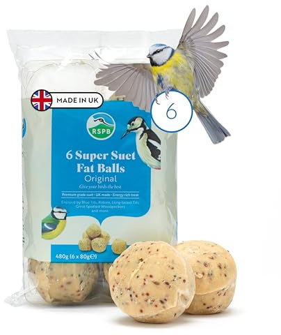 RSPB Super Meisenknödel, 6 Stück