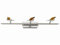 Dapo 12V Halogenstrahler verstellbar mit Echtkristall-Aufsätzen Sakura Spotlampe 3 flg