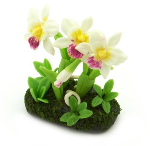 MyTinyWorld Dolls House Miniature Flower Bed Cattleya Orchid
