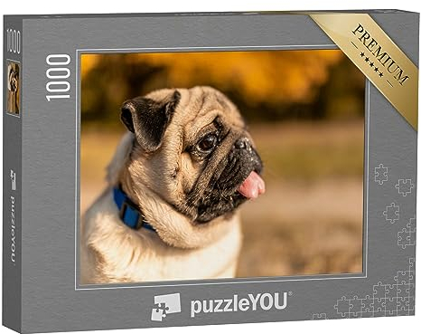 puzzleYOU: Puzzle 1000 Teile „Seiten-Porträt eines Mopses“ – aus der Puzzle-Kollektion Mops, Hunde
