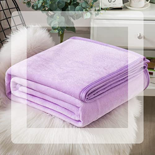 Lightweight Blanket for Bed Fluffy Velvet Blanket Bed Soft Blankets and Throws King Size Queen Full Size Summer Fleece Blanket Throw for Couch/Sofa/Recliner Decor ( Color : Lilac colour , Size : 71x79