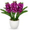 Hollyone 22cm künstliche Hyazinthen Blumen im Topf, künstliche Seidenblumen Rosarot, dekorative Topfhyazinthen für Haus, Küche, Bad, Schlafzimmer, Tafelaufsatz, Hochzeitsdekoration