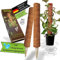 EGARDN Moosstab mit Bewässerung – Kokosstab & Rankhilfe für Monstera, Efeutute & Kletterpflanzen, automatische Gießhilfe, 2er-Set inkl. Edelstahl-Nadeln, Pflanzenstütze für Zimmerpflanzen