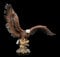 Figuren Shop GmbH Weißkopfseeadler mit ausgebreiteten Flügeln | Adler-Dekofigur, handbemalt