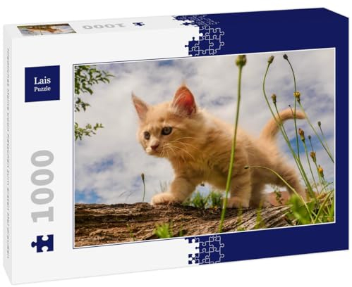 Lais Puzzle Niedliches Maine Coon Kätzchen zum ersten Mal draußen 1000 Teile