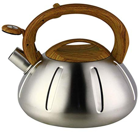 Gas Kettle Copper Stainless Steel Whistling Kettle for Wood Burning Stove, Log Burner, Fireplace - Ideal for Home, Office, Outdoor Use