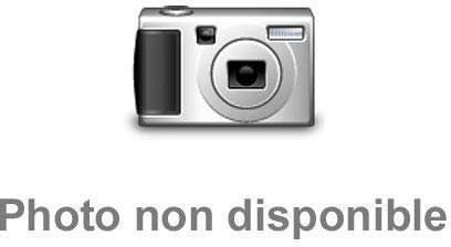 Yaesu CT-91 Mikrofonadapter