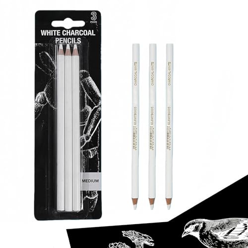 Hyleon White Charcoal Pencil, 3Pcs Charcoal Drawing, Professional White Pencils Set Sketch Highlight Colored Pencils for Drawing, Sketching, Shading, Blending