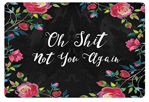 Coloranimal Fußmatte für den Innen- und Außenbereich, mit Aufschrift Oh Shit Not You Again, für Garage, Terrasse, Schuhe, Schaber, rutschfest, leicht