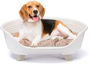 Ferplast Dog Bed & Cat Bed with Cotton Cushion, Raised Dog Bed, Plastic Dog Bed Medium, Dog Bed Washable, Dog Basket, Breathable & Antislip, THRONE 70,5 x 52 x h 28,5 cm, White