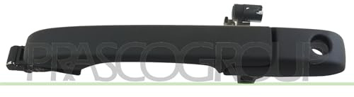 Prasco HD8248002 Controls