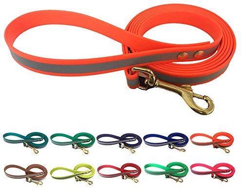 bio-leine Führleine Hundeleine mit reflektierendem Streifen aus Biothane, 19mm breit, schmutz- und wasserabweisend, 1,20 m Neonorange