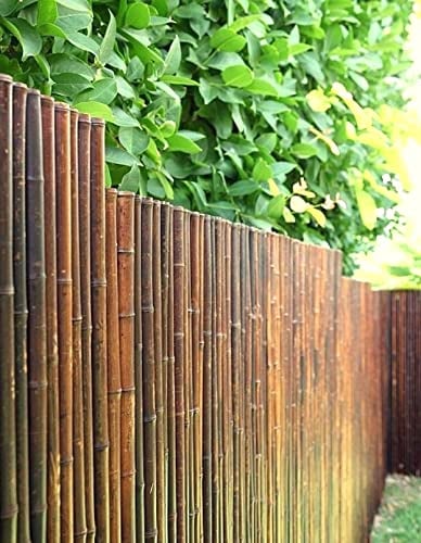 DE-COmmerce® Recinto di bambù di alta qualità per la privacy ATY Nigra, chiuso in alto, recinto da giardino, terrazza, balcone (HxL) 150 cm x 180 cm