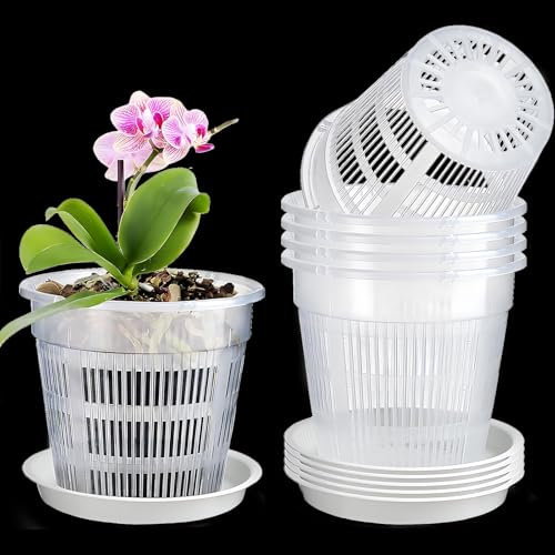 5 Macetas de Orquídeas de Plástico Transparente, Macetero Transpirable de 14 CM, con Orificios de Drenaje, Palet Incluido, Macetero de Plástico para Interior, para Orquídeas Pequeñas Y Medianas