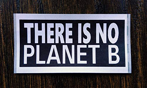 50 x There is No Planet B Extinction Rebellion XR Vinyl Aufkleber (jeder 6.5cm x 2.5cm)